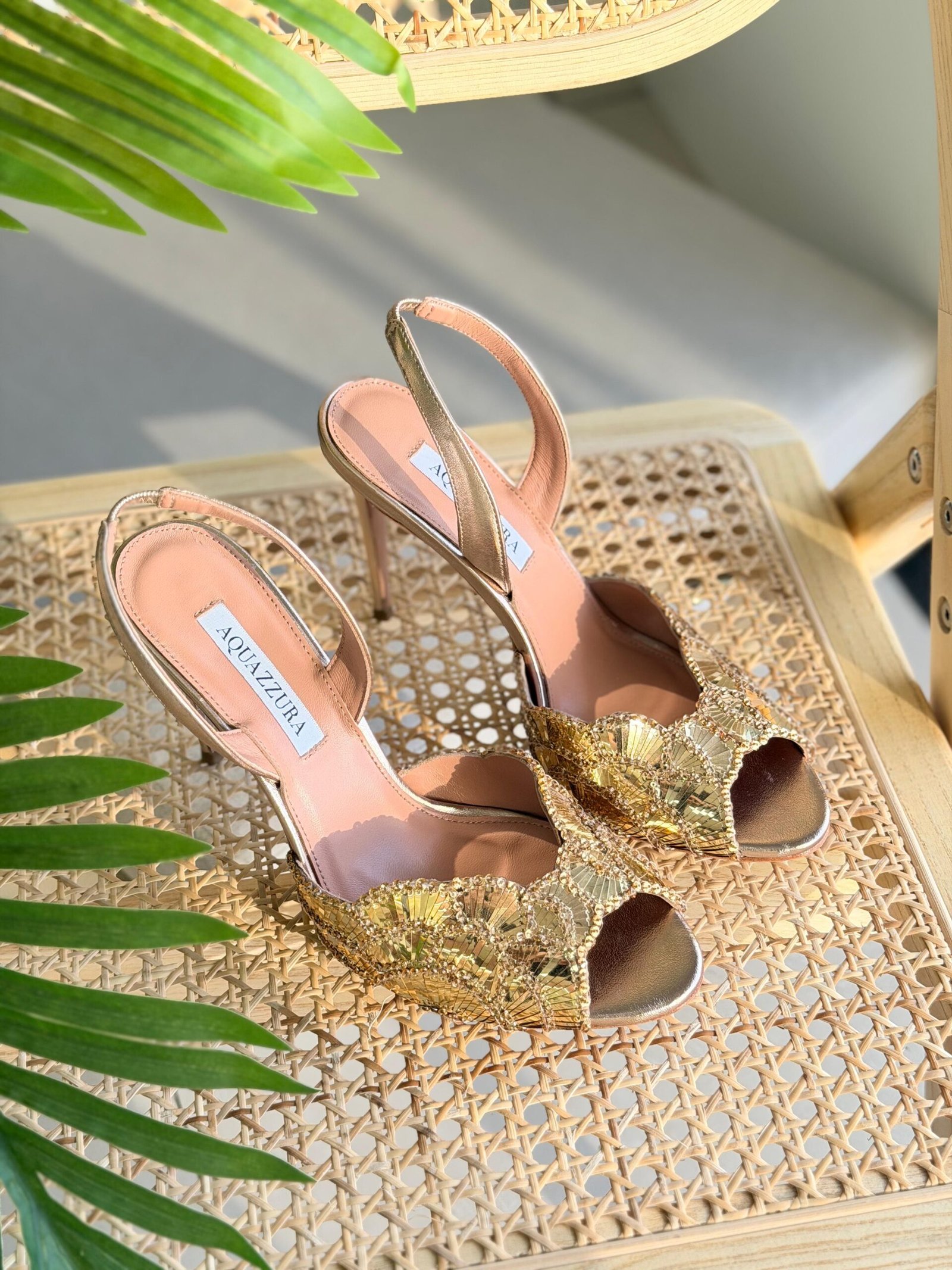 WhatsApp Image 2026-01-06 at 11.13.52 AM