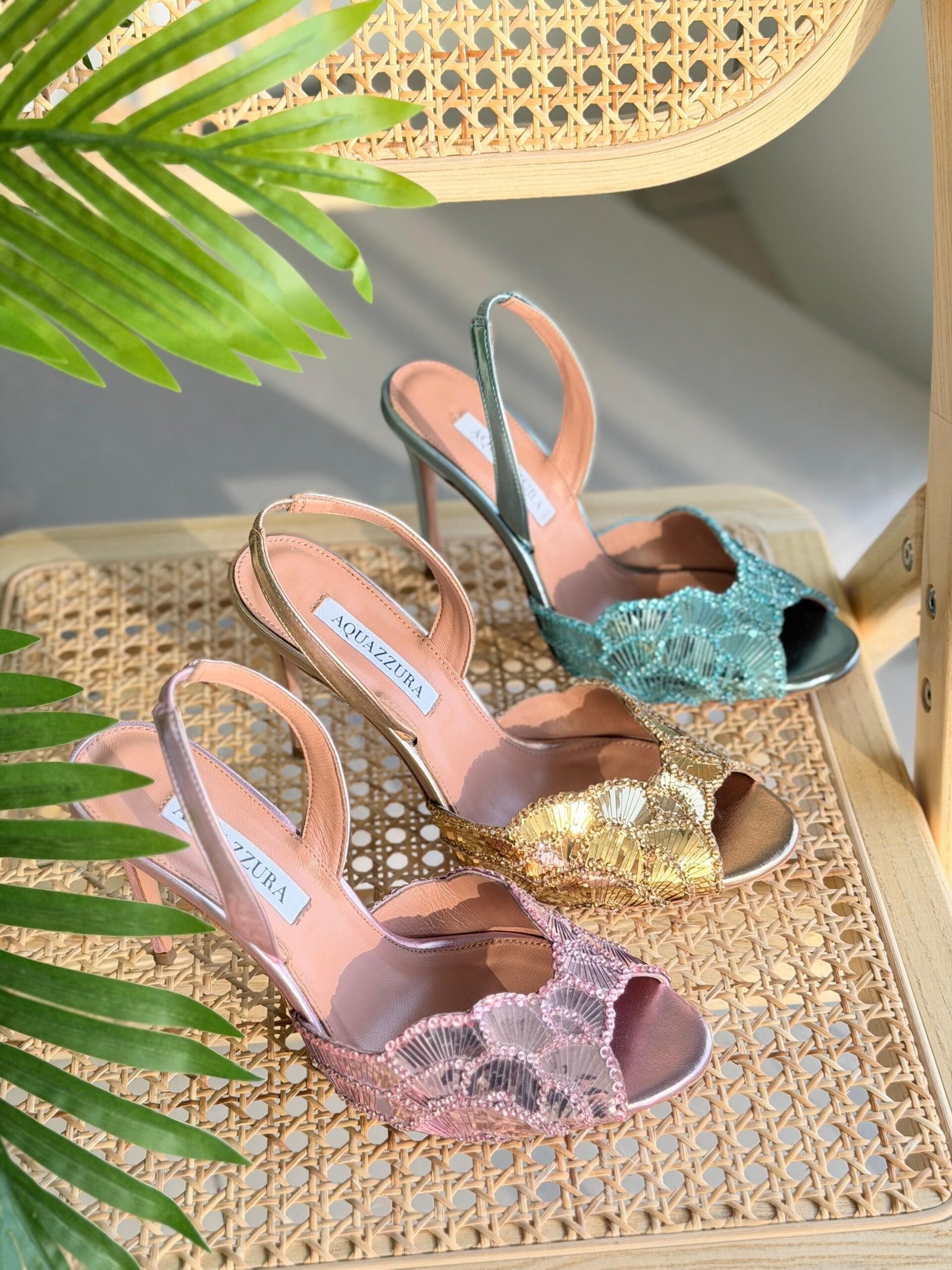 WhatsApp Image 2026-01-06 at 11.13.54 AM