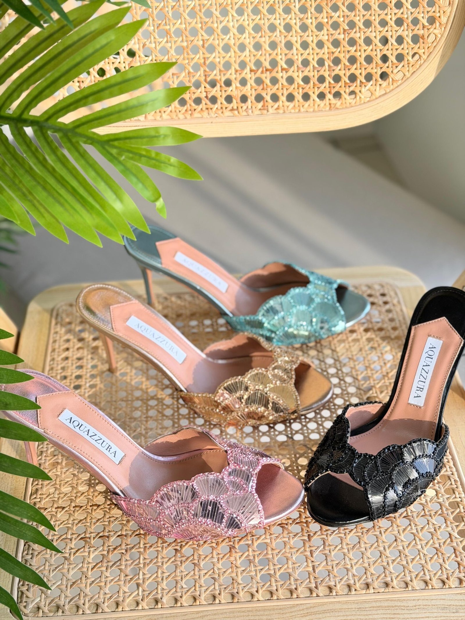 WhatsApp Image 2026-01-06 at 11.14.09 AM