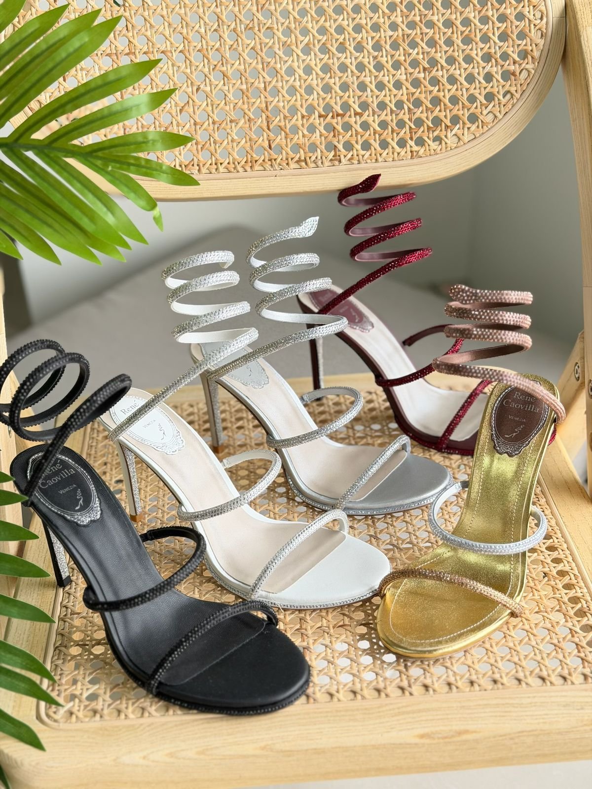 WhatsApp Image 2026-01-06 at 11.14.20 AM