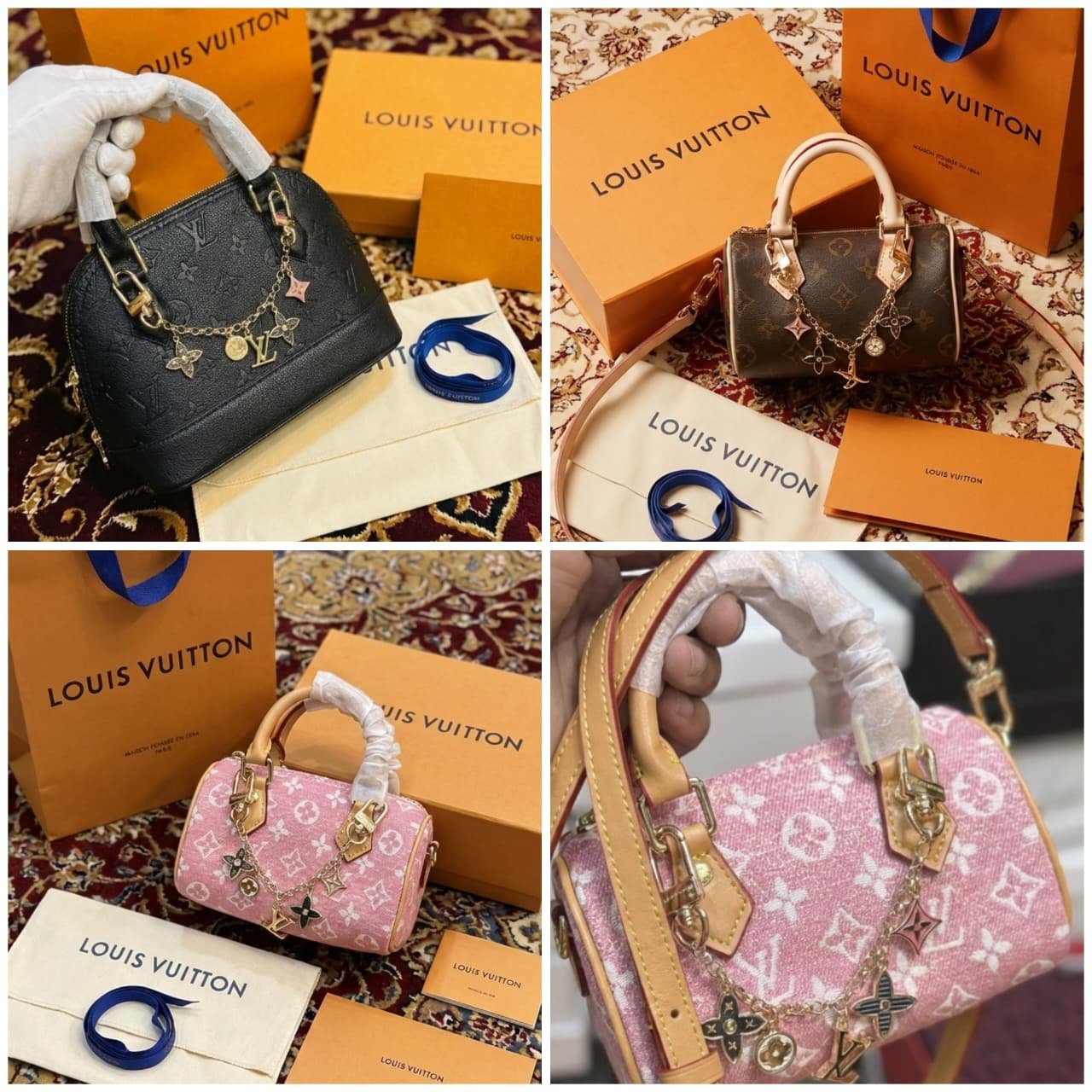 WhatsApp Image 2026-01-16 at 10.51.08 PM (1)