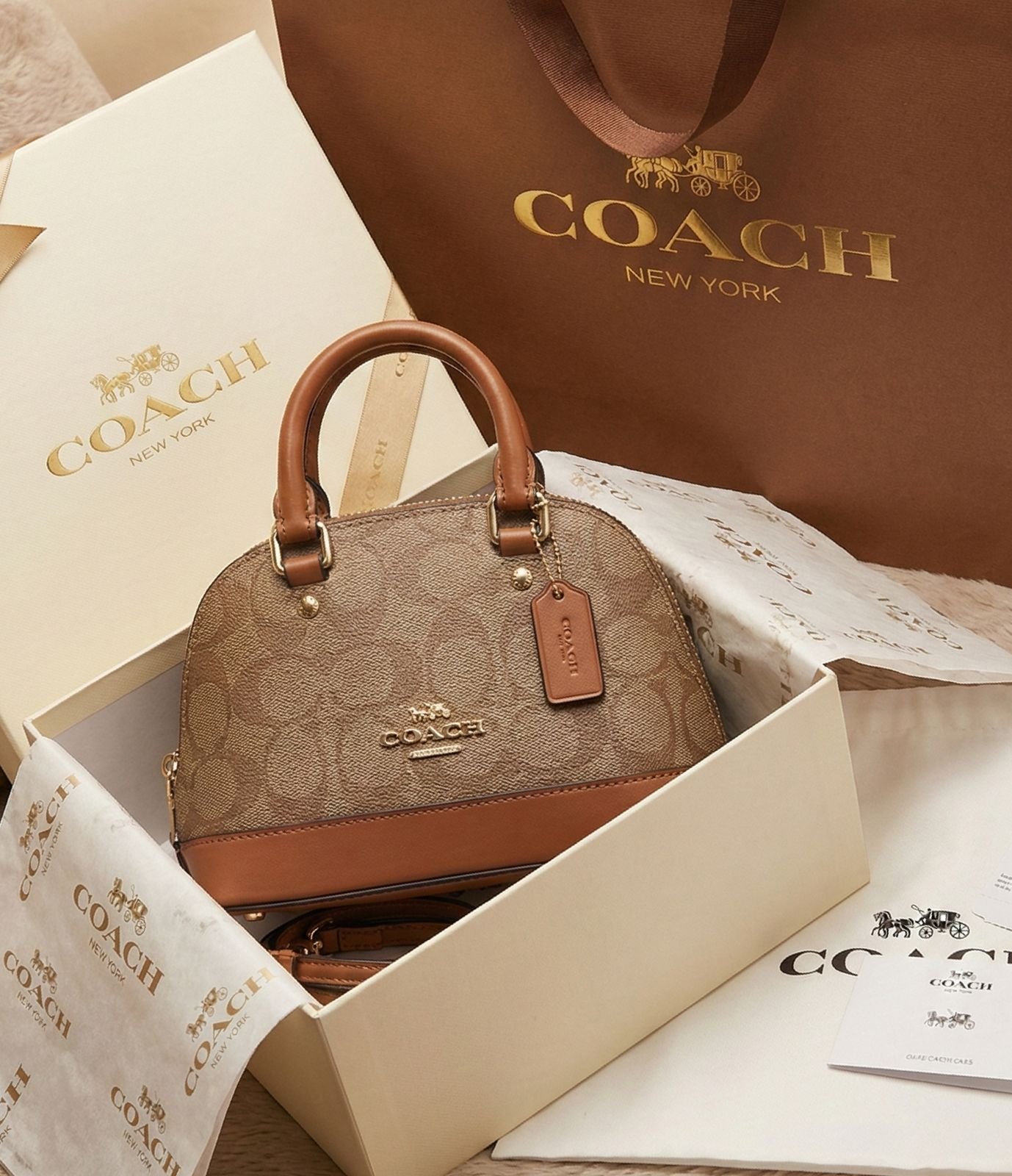 WhatsApp Image 2026-01-16 at 10.51.13 PM (1)