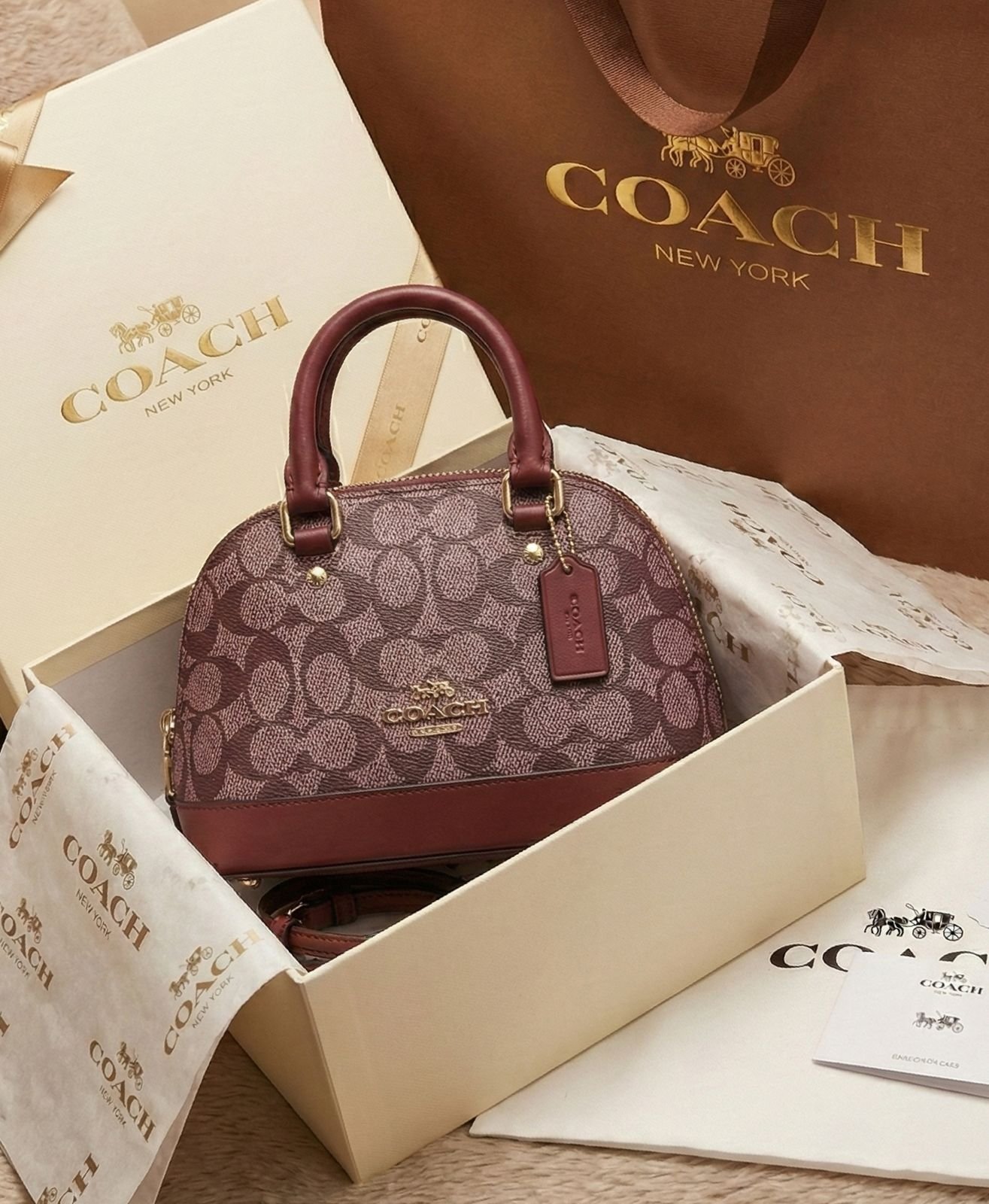 WhatsApp Image 2026-01-16 at 10.51.14 PM (1)