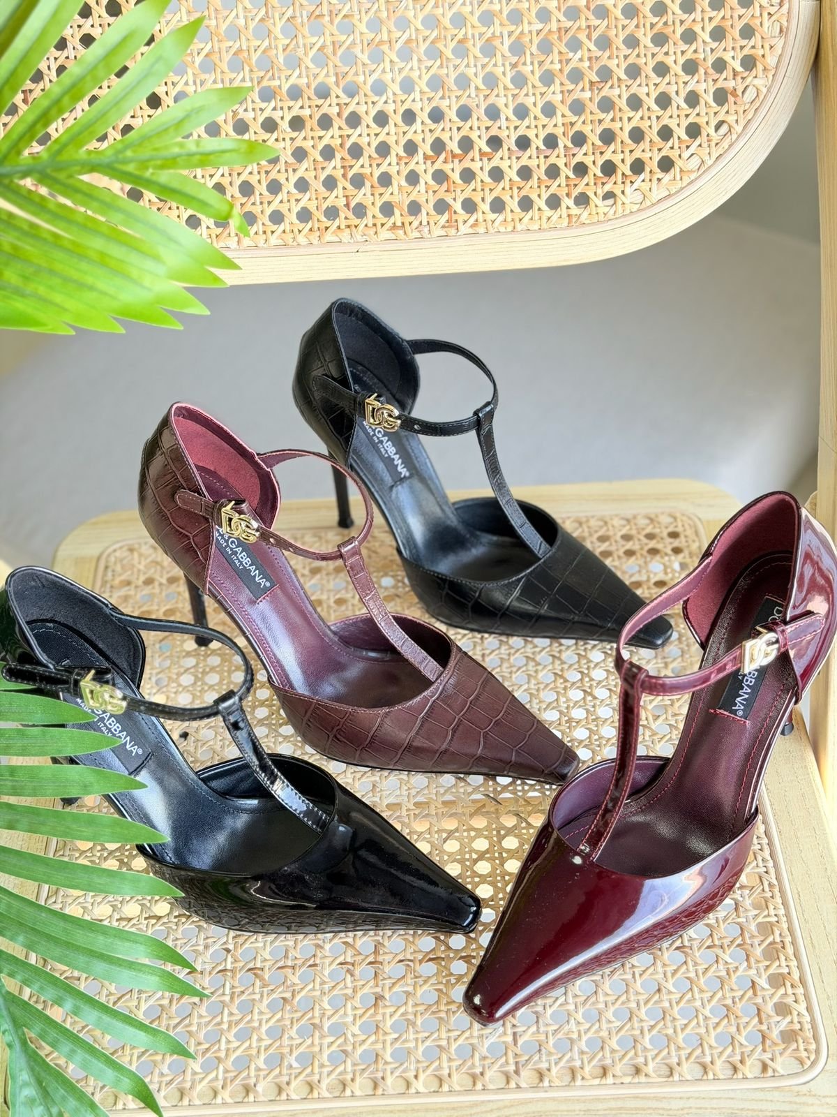 WhatsApp Image 2026-01-16 at 11.37.28 PM